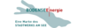 logo Bodensee Energie