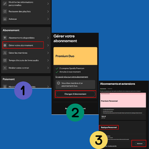 Passer de premium à Basique