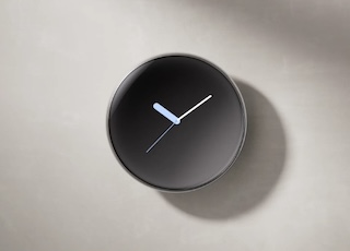 thermostat Nest Learning