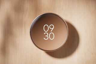 thermostat Nest Learning