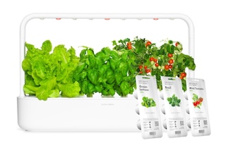 potager connecté Click&grow