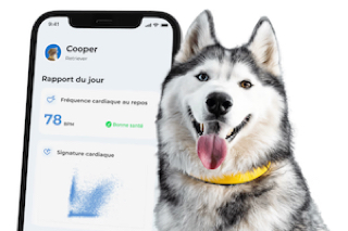 Smartphone avec un chien