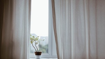 Fenêtre