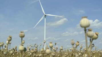 Eoliennes dans un champ