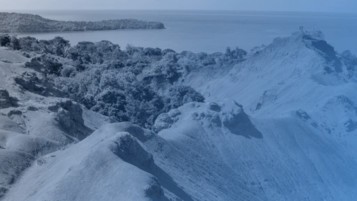 Assurance auto Mayotte