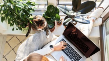 internet-salon