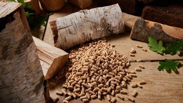 bûches et pellets de bois étalés au sol