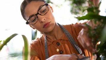 Echo Frames : que valent les lunettes connectées d’Amazon ?