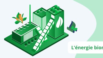Energie biomasse