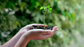 ecologie-forfait