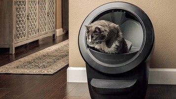 Votre chat mérite-t-il une litière à 800 euros ?