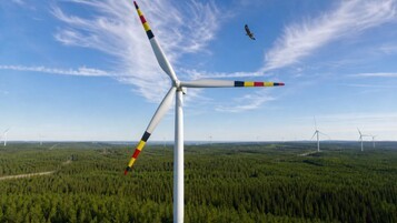 Peindre les éoliennes en rouge et jaune : la solution pour sauver des milliers d'oiseaux ?