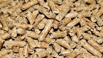 Les pellets, une menace pour la santé des forêts françaises ?