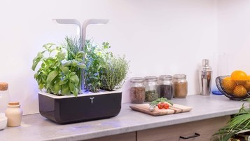 Potager d’intérieur intelligent : des produits frais toute l'année !