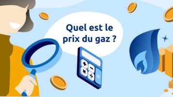 Prix du gaz en France