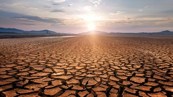 sécheresse terre craquelée