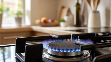  La France brûle moins de gaz, et pourtant celui qui arrive dans vos tuyaux change de nature et devient vert