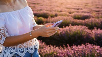 Femme consultant son mobile devant un champ de lavande