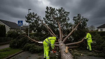 213 km/h : le Top 10 des records de la tempête Goretti qui ont fait plier le réseau électrique