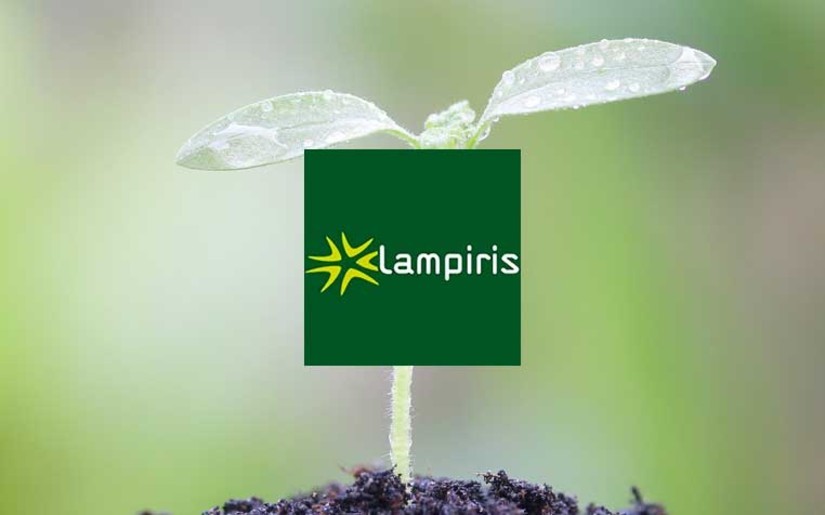 Lampiris en pleine croissance. Le fournisseur d'origine belge veut conquérir de nouveaux clients en France.