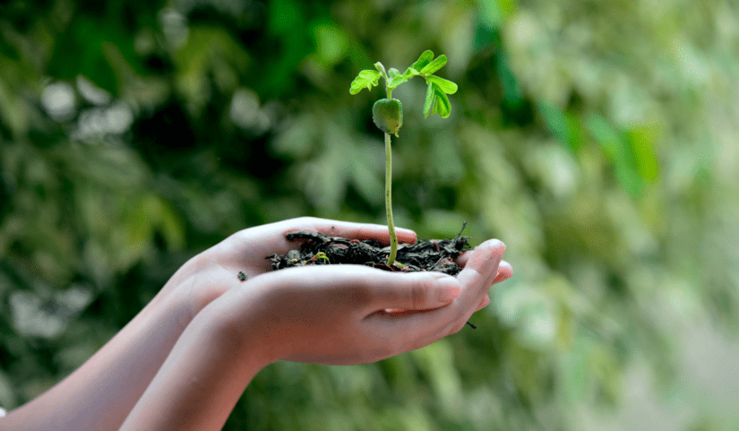 ecologie-forfait