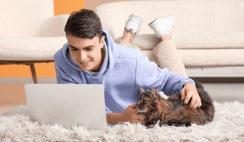 boy-laptop-cat