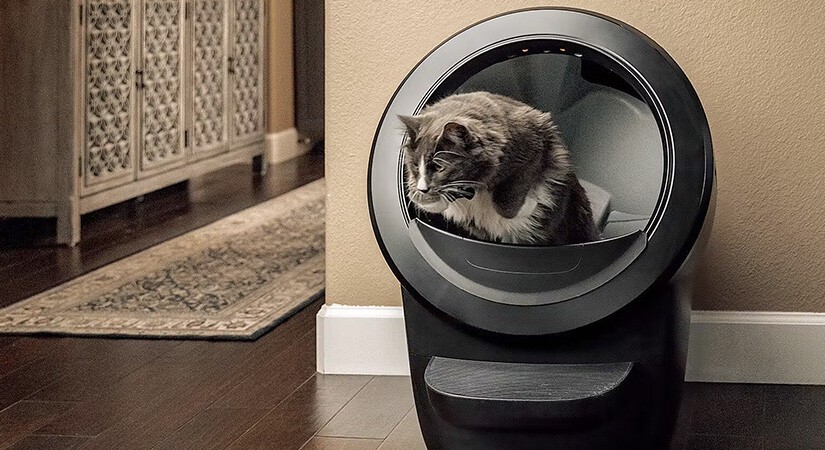 Votre chat mérite-t-il une litière à 800 euros ?