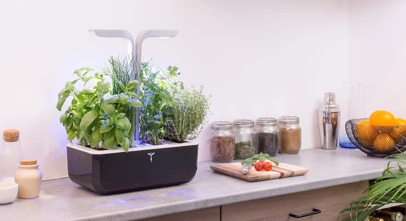 Potager d’intérieur intelligent : des produits frais toute l'année !