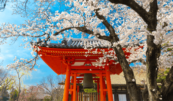 eSIM Japon : découvrez les plans Ubigi pour rester connecté et voyager l'esprit léger !